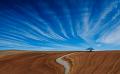 404 - LONELY TREE - CHIAN TSUN-HSIUNG - taiwan